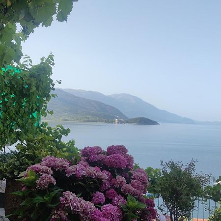 Villa Malezan โอครีด ภายนอก รูปภาพ