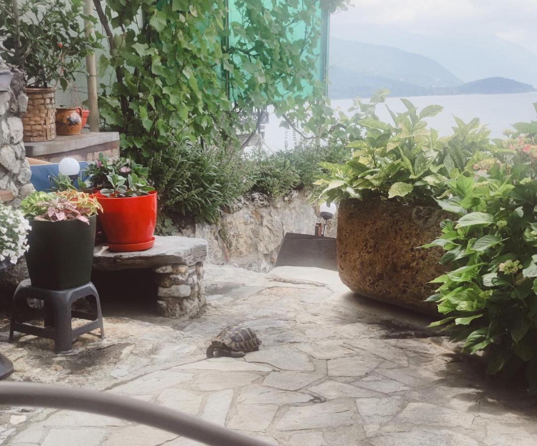 Villa Malezan โอครีด ภายนอก รูปภาพ