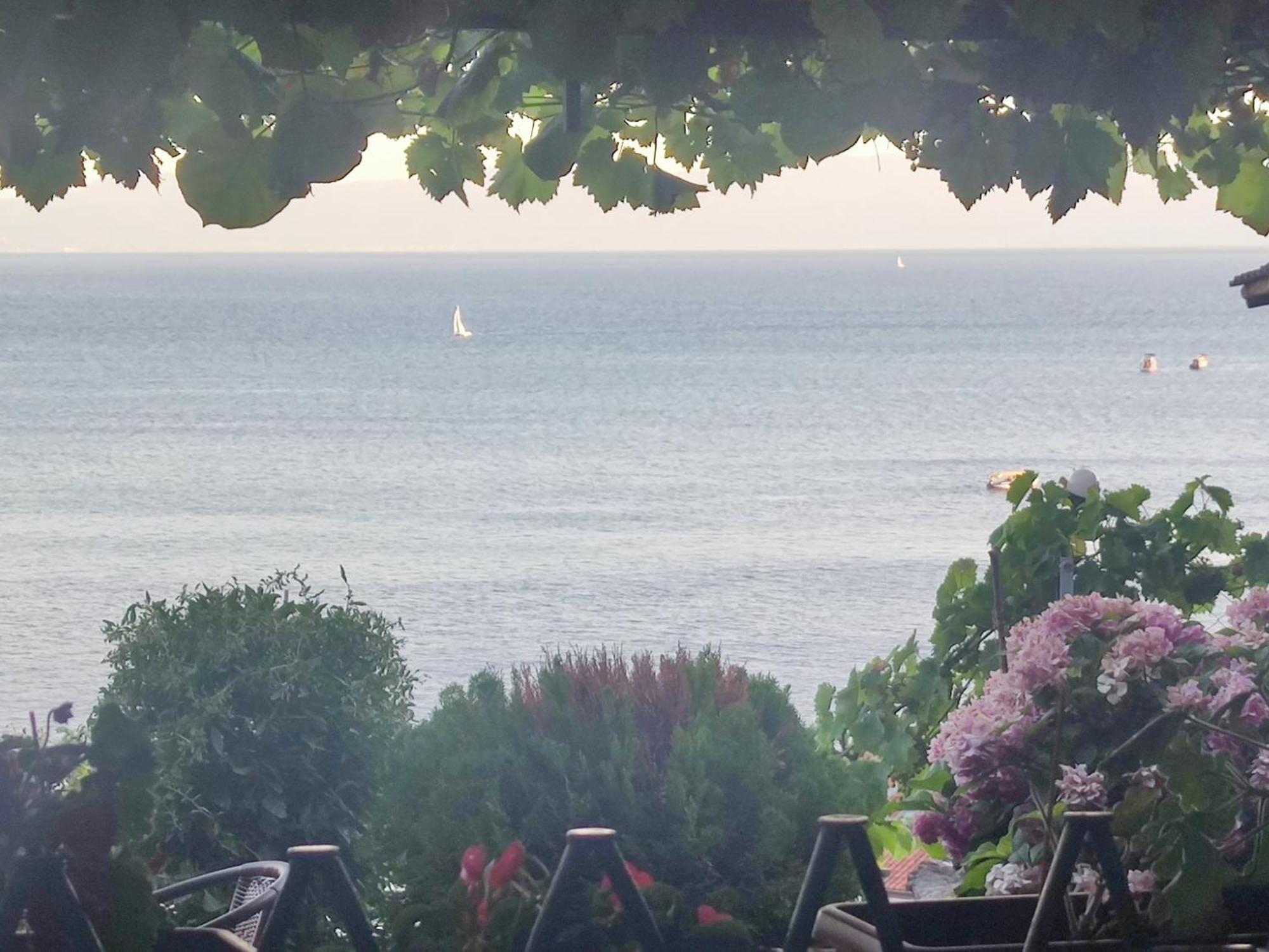 Villa Malezan โอครีด ภายนอก รูปภาพ