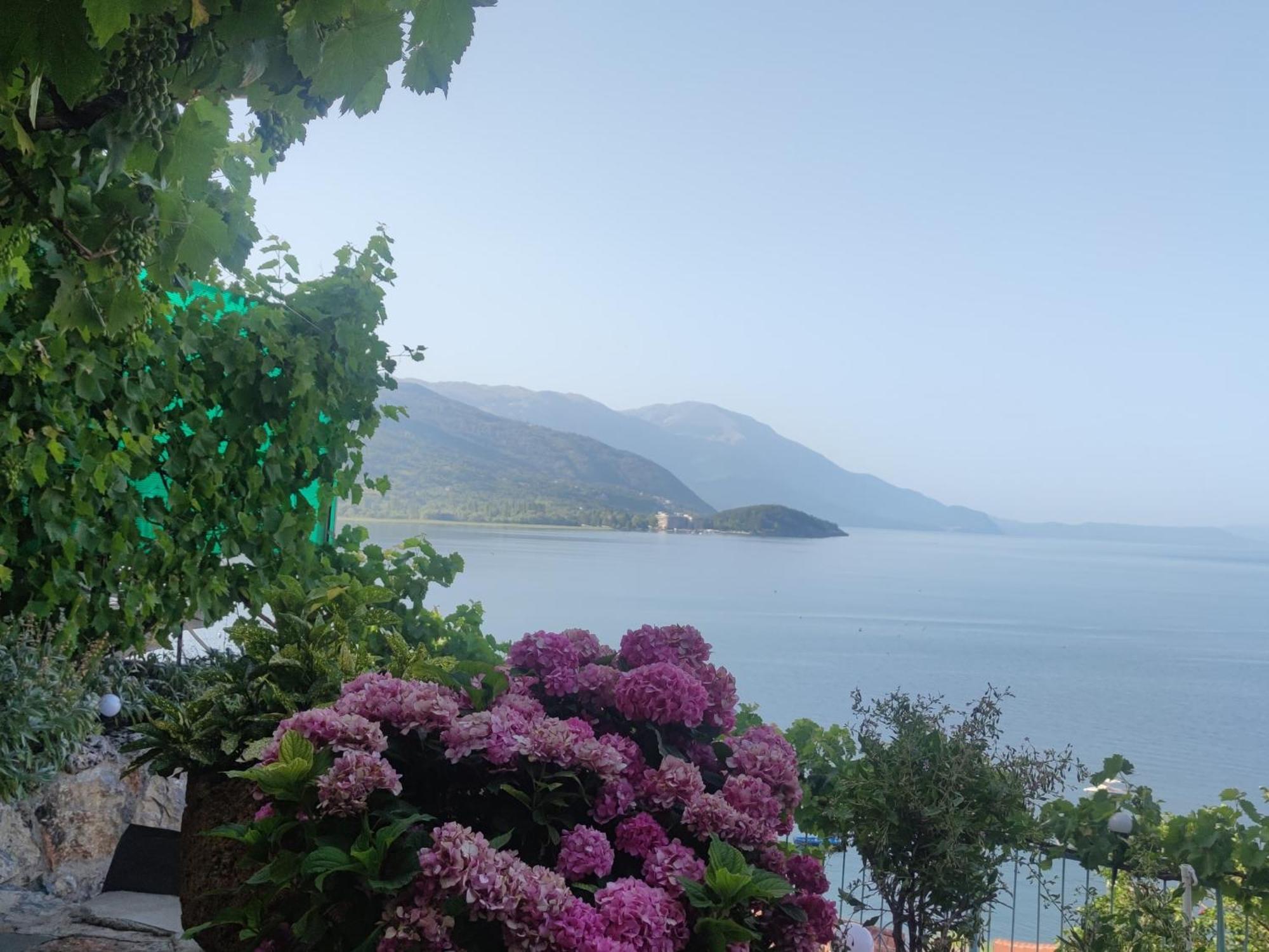 Villa Malezan โอครีด ภายนอก รูปภาพ